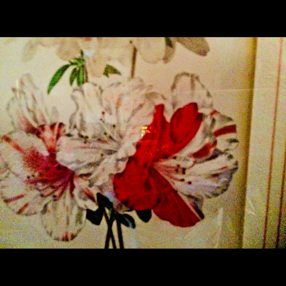 Antique Hand Colored Botanical Print Azaleas - Picture 3 of 15